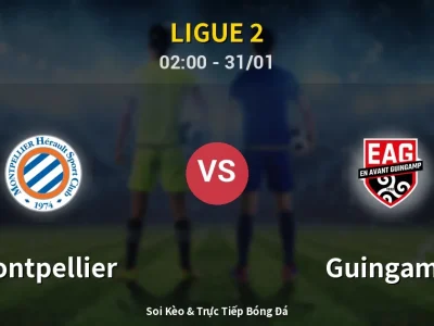 Kết Quả: Montpellier 3-1 Guingamp – Highlight & Bàn Thắng | Ligue 2