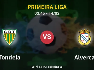 Kết Quả: Tondela 1-1 Alverca – Highlight & Bàn Thắng | Primeira Liga