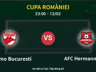 Soi Kèo Dinamo Bucuresti vs AFC Hermannstadt – 23:00 12/02 | Nhận Định, Dự Đoán Tỷ Số