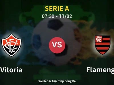 Kết Quả: Vitoria 1-2 Flamengo – Highlight & Bàn Thắng | Serie A