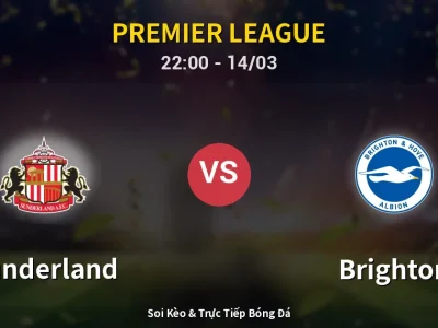 Soi Kèo Sunderland vs Brighton – 22:00 14/03 | Nhận Định, Dự Đoán Tỷ Số
