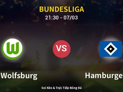 🔴 Trực Tiếp: VfL Wolfsburg 0-0 Hamburger SV – Link Xem Bundesliga (Full HD)