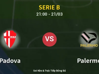 🔴 Trực Tiếp: Padova 0-0 Palermo – Link Xem Serie B (Full HD)