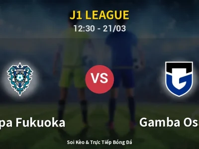 Soi Kèo Avispa Fukuoka vs Gamba Osaka – 12:30 21/03 | Nhận Định, Dự Đoán Tỷ Số
