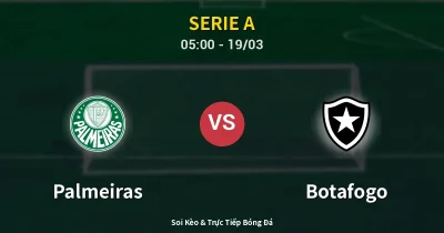 Palmeiras vs Botafogo 19/03